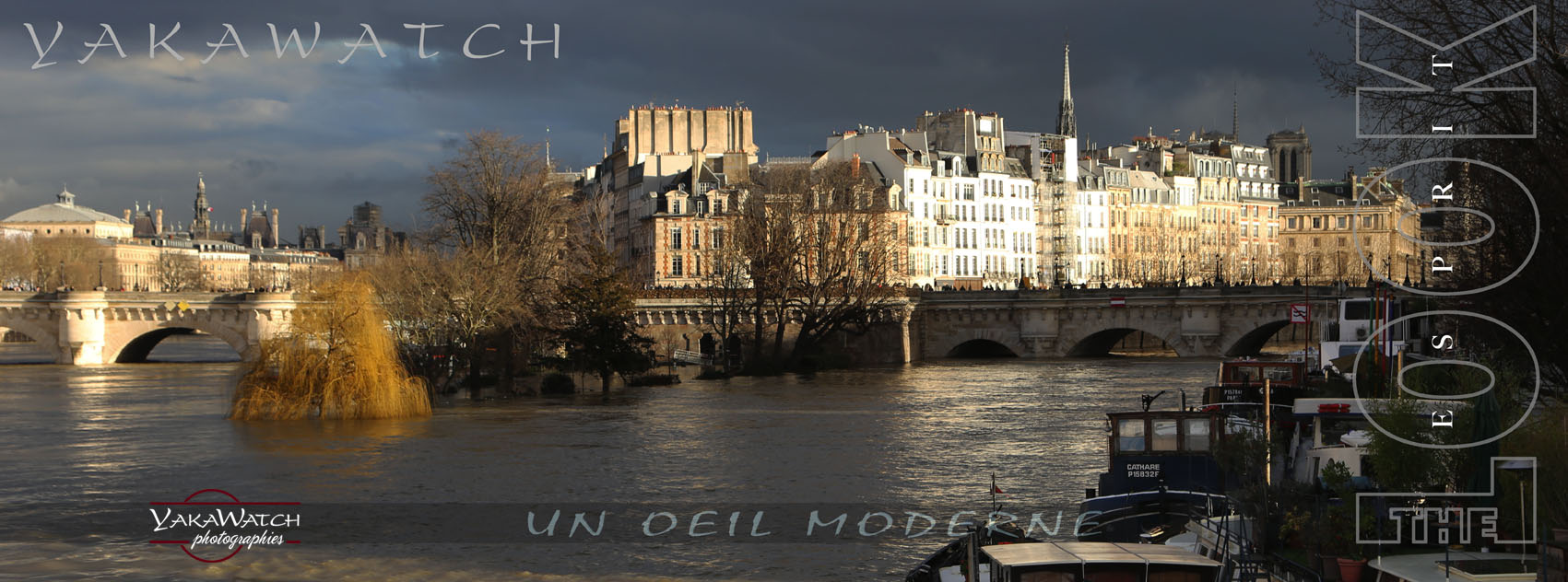 Crue de la Seine Paris 2018