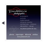 yakawatch-photos-reportages-close