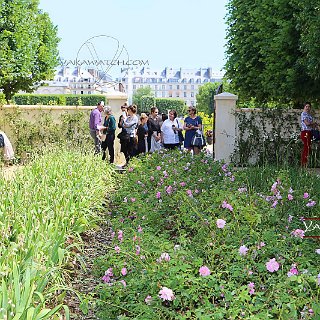Jardins-jardin-tuileries-paris-photo-yakawatch-1405