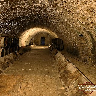 vaux-le-vicomte-caves-2018-photo-yakawatch-1587-M