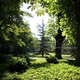 nature-photo-yakawatch-jardin-luxembourg-3346