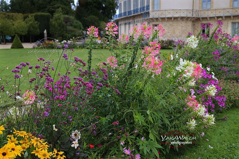 chateau-rambouillet-jardins-photo-yakawatch-7786